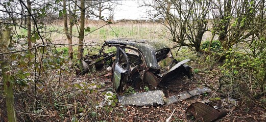 Rotting automobile abandoned and sunken in forest. Rusted collapsing motor car amongst trees...