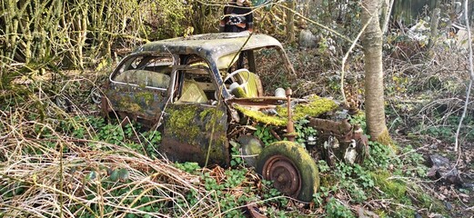 Automobile sunken in forest reclaimed by nature. Rusted collapsing old motor car vehicle left to...