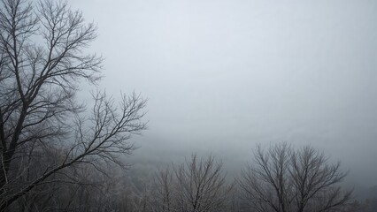 Obraz premium Chilly Winter Morning With Fog