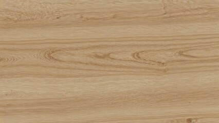 Obraz premium Real size 50x50cm elm veneer - seamless tileable texture 20
