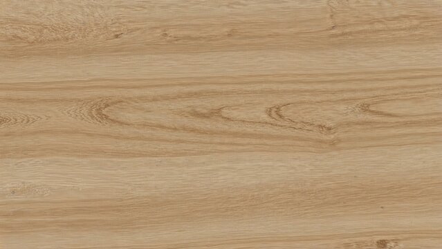 Real size 50x50cm elm veneer - seamless tileable texture 20