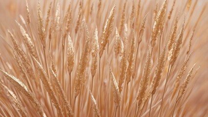 Fototapeta premium Close-Up of Wheat Ears in Golden Field