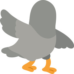 Gray Pigeon