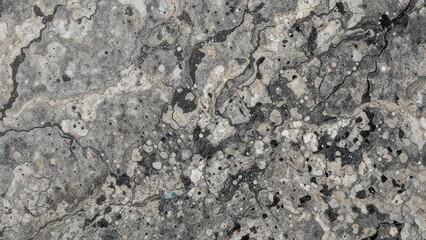 Polished stone background showcasing gray granite with black and white elements