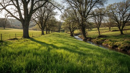 Obraz premium Idyllic Natural Greenery in the Countryside