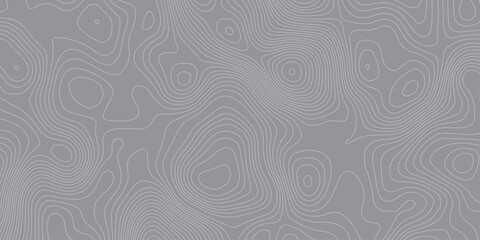 Abstract seamless contour topographic map background with thin line patterns in gray tone. Geometric elevation design, minimal texture, modern cartography style for wallpaper and digital use.