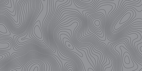 Fototapeta premium Abstract topographic contour line pattern in gray tones, creating a modern wavy texture. Minimalist geographic background design, suitable for maps, wallpapers, and digital graphics.