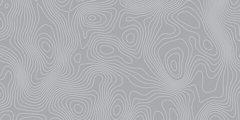 Minimalistic abstract background with smooth topographic contour lines in light gray tones. Elegant and modern design for maps, wallpapers, presentations, and digital graphic projects.