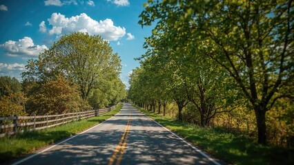 Obraz premium Traveling on rustic roads in summer
