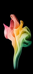 Colorful Abstract Smoke Flower Design on Black Background