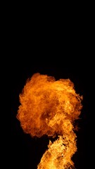 Fire Explosion, Isolated on Black Background. Abstract Fiery Shape, Freeze Motion of Explosion.