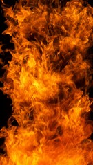 Fire Explosion, Isolated on Black Background. Abstract Fiery Shape, Freeze Motion of Explosion.