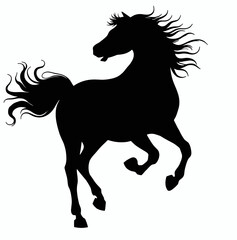 black silhouette of a prancing horse on white background