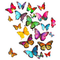 Colorful butterflies flutter, vibrant swarm, dark background, nature art, textile design