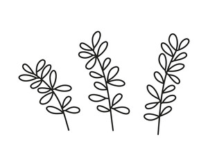 Simple doodle outline leafy twigs or branches isolated on white background.