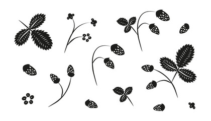 Set of hand drawn black wild strawberries, leaves and flowers isolated on white background. Cute garden or forest strawberries.