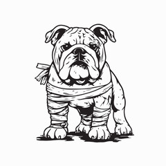 Injured Bulldog Dog Wrapped in Bandages Full Body Vector Image on white background
