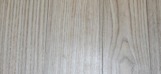 Such different backgrounds 