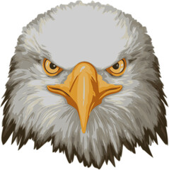 Eagle vector illustration