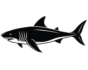 Fototapeta premium Shark Silhouette