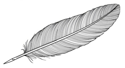 Elegant delicate feather design with intricate line art detail, perfect for creative projects and natural themes