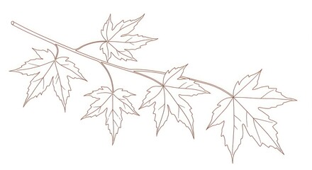 Elegant outline of a delicate maple branch with five detailed leaves, evoking autumn's natural beauty and seasonal change for versatile design projects