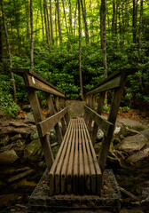 Fototapeta premium Looking Across Sturdy Bridge On Trail In New River Gorge
