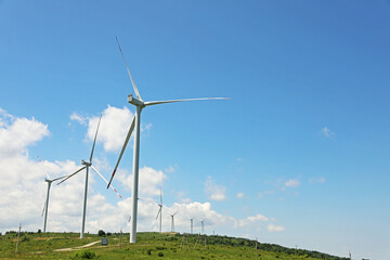 Modern wind turbines in field on sunny day. Space for text