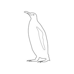 Penguin Silhouette Line Art  Black and White Vector