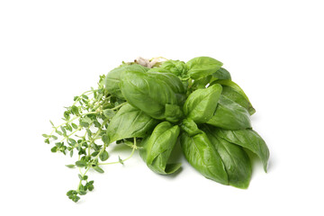 Different fresh green herbs isolated on white