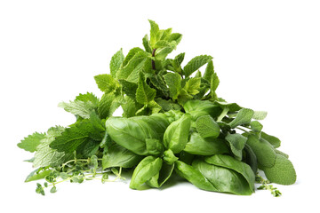 Different fresh green herbs isolated on white