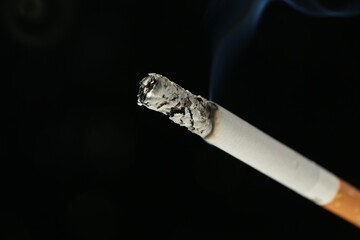 One burning cigarette on black background, closeup. Space for text