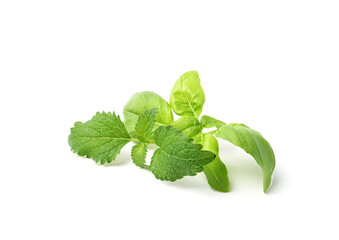 Different fresh green herbs isolated on white