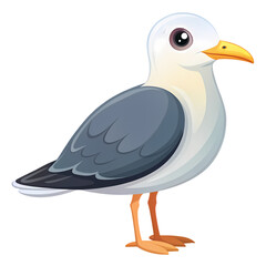 Fototapeta premium Coastal Bird A Juvenile Gull