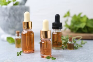 Bottles of aromatic essential oils and herbs on light grey table, closeup