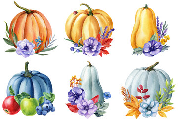 Set colorful pumpkins with anemone flowers, lavender  and eucalyptus greenery watercolor autumn harvest floral compositions isolated on white background