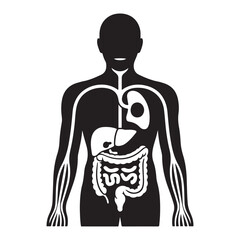 Set of icons depicting human internal anatomy and organs vector illustration. Vector black silhouette. with white background.