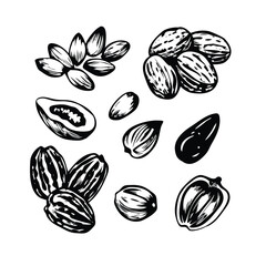 Nuts & Seeds Woodcut Vector Set - Minimalist Engraved Illustrations for Snack Packaging