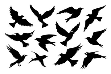 flying bird silhouette vector bundle
