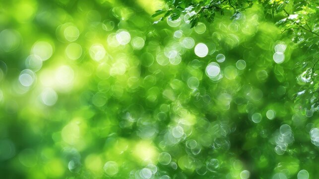 The vibrant greenery creating a serene bokeh background for relaxation.