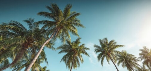 The Majestic Palm Trees Under a Vibrant Blue Sky at Sunset