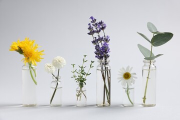 Essential oils with different plants in bottles on light grey background