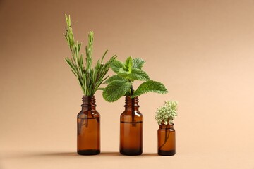 Essential oils with different plants in bottles on beige background