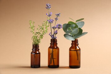 Essential oils with different plants in bottles on beige background