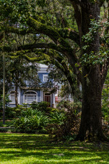 house in the savannah, Georgia 