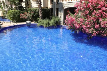 Outdoor swimming pool and different plants near hotel at luxury resort