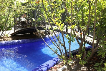 Outdoor swimming pool, bridge and different green plants