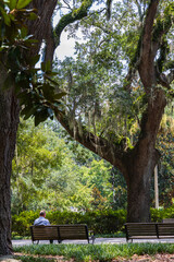 bench in the park, savannah, Georgia 