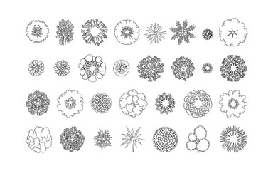 Top-Down Tree Illustrations: Diverse Collection of CAD Trees for Landscape Architecture and Design Plans with Intricate Details for Architectural Rendering © Gerald I. Mastin