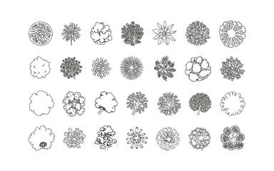 Architectural Tree Top View Set: Hand-Drawn Black and White Collection for Landscape Design and Site Planning in Vector Format